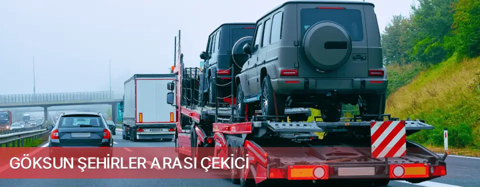 Göksun İlçemi Şehirler Arası Çekici